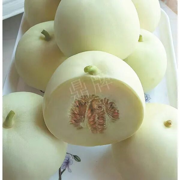 蔬菜種子種植戶種植心得-這個(gè)品種幫我留一些，4月份我們當(dāng)?shù)剡€要種一批